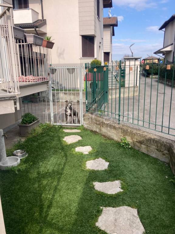 immagine annuncio 10 di 15