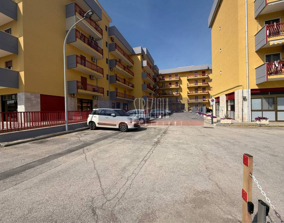 immagine annuncio 1 di 14