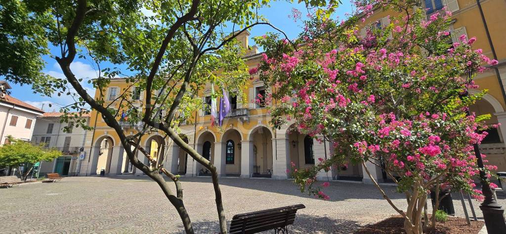 immagine annuncio 6 di 12