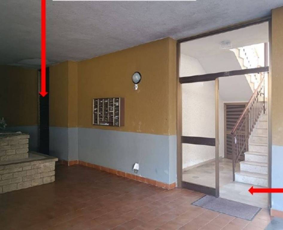 immagine annuncio 4 di 12