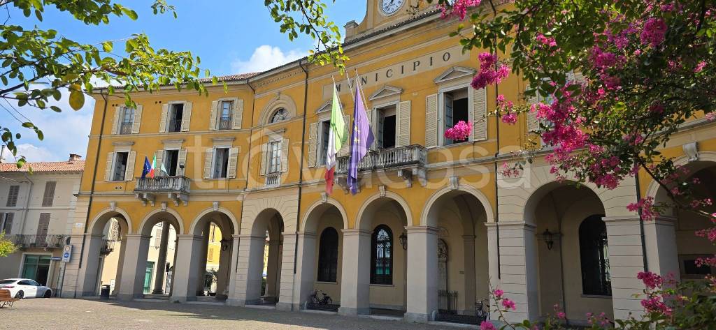 immagine annuncio 1 di 12