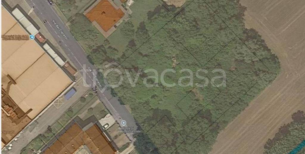 immagine annuncio 2 di 9