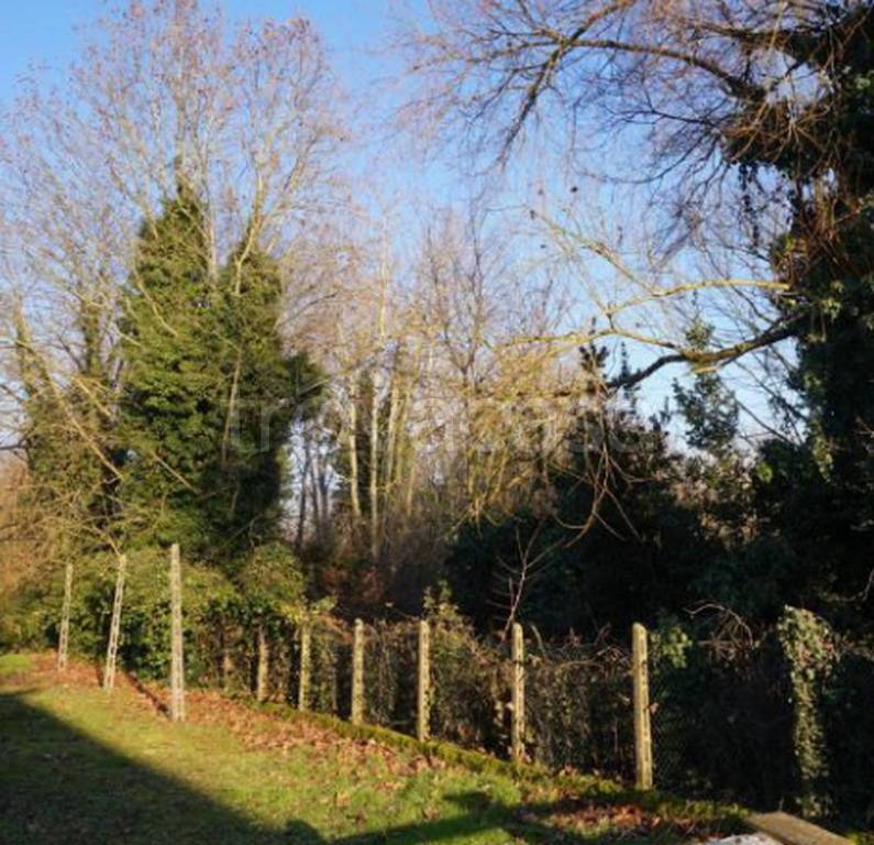 immagine annuncio 4 di 9