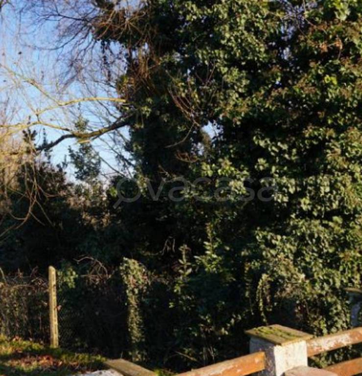 immagine annuncio 5 di 9