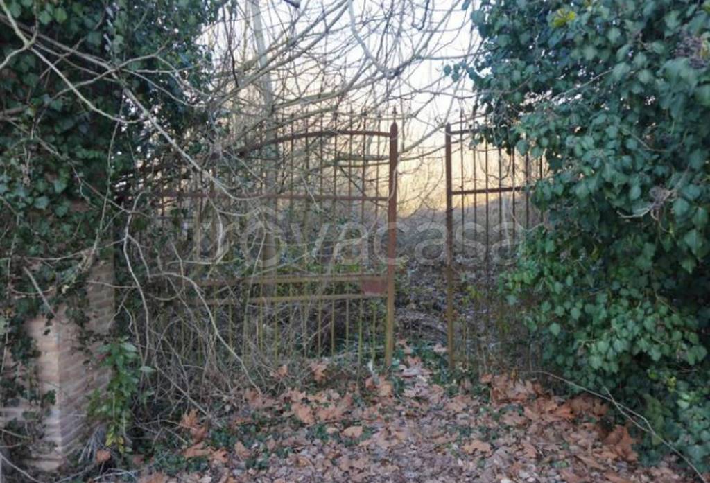 immagine annuncio 6 di 9