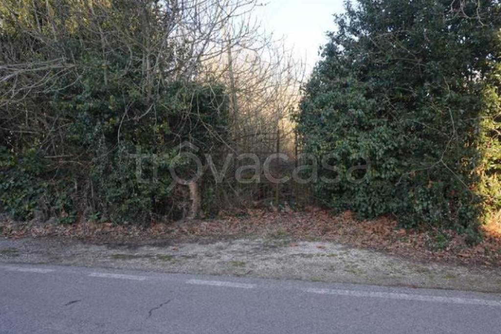 immagine annuncio 7 di 9