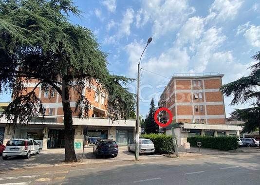 immagine annuncio 3 di 14