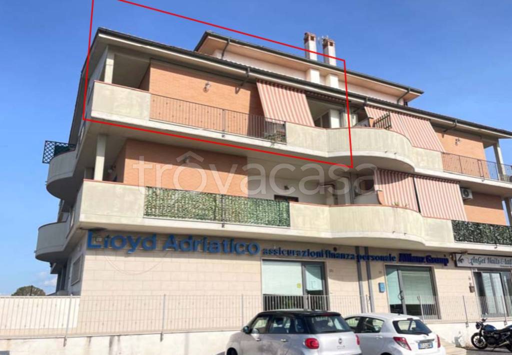 immagine annuncio 2 di 12