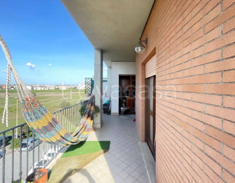 immagine annuncio 6 di 12