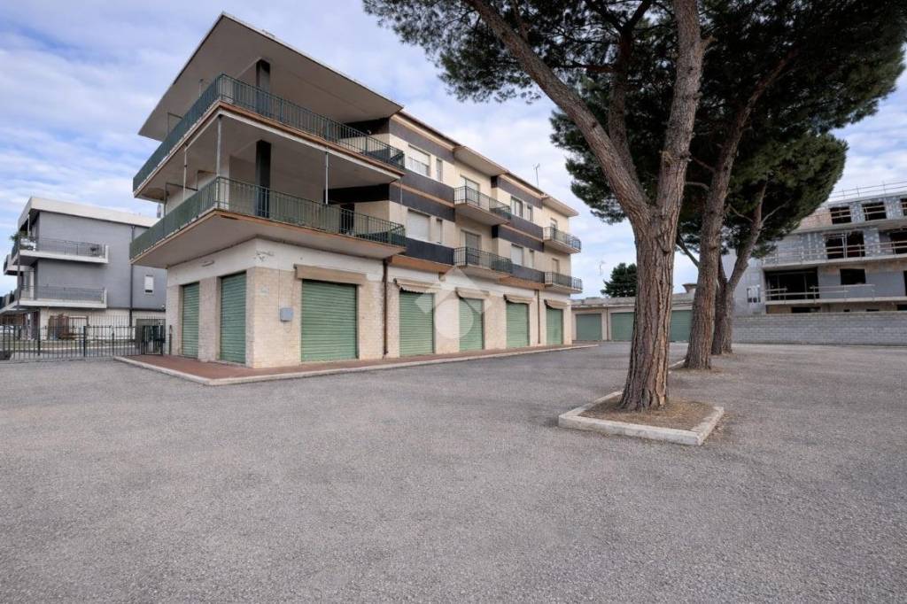 immagine annuncio 13 di 15