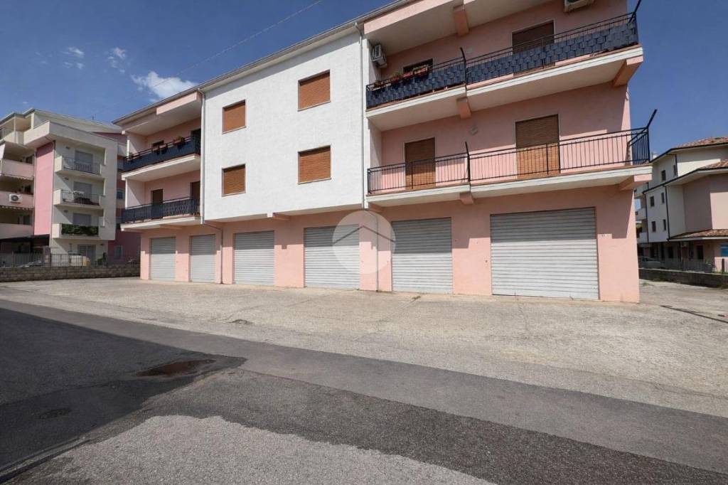 immagine annuncio 10 di 11