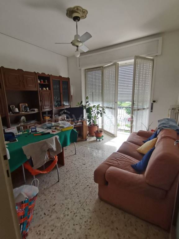 immagine annuncio 7 di 11