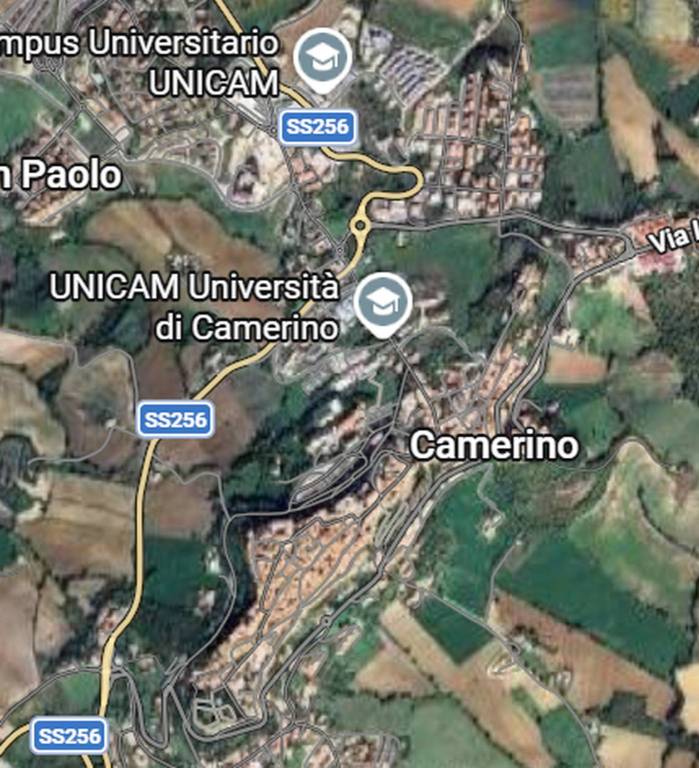 immagine annuncio 10 di 11