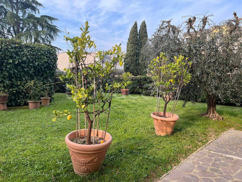 immagine annuncio 11 di 15