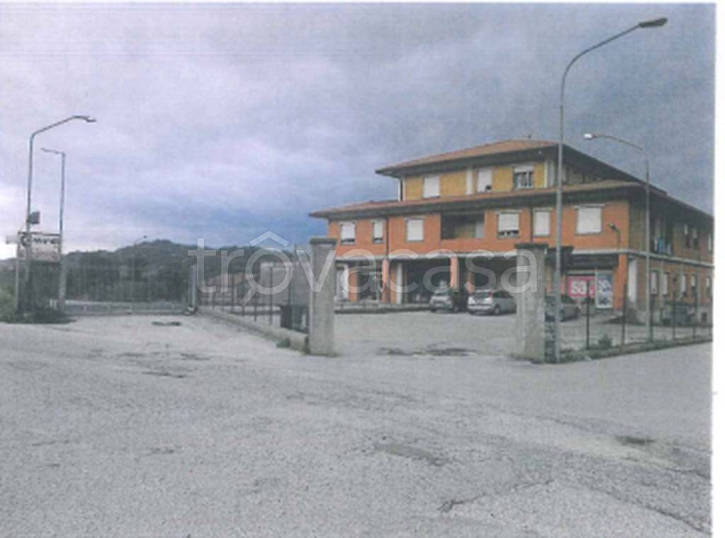 immagine annuncio 3 di 9