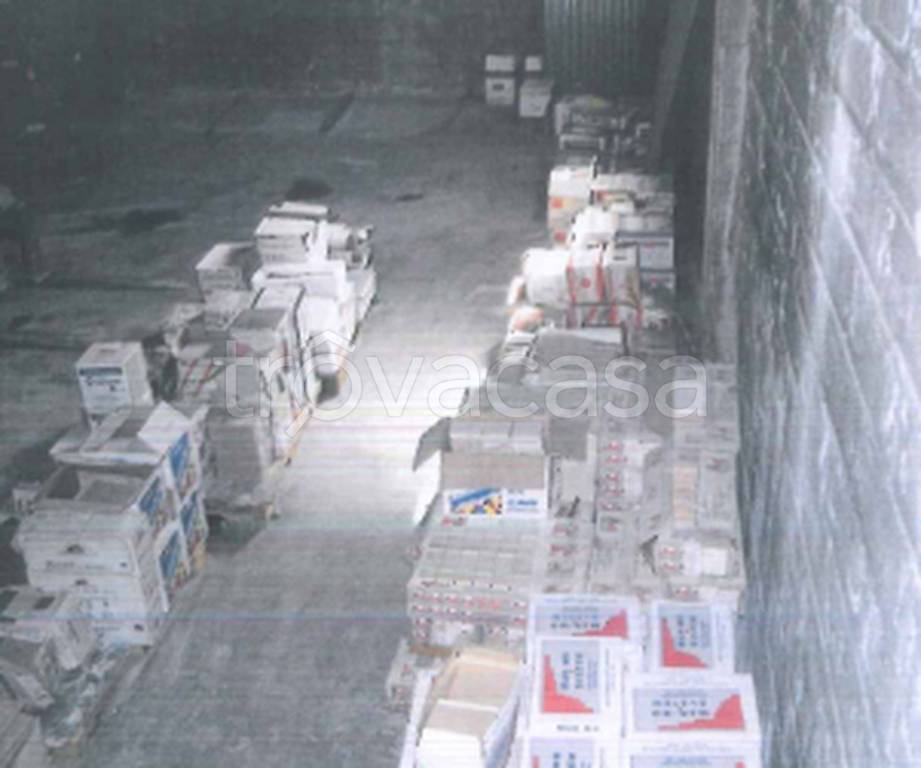 immagine annuncio 6 di 9