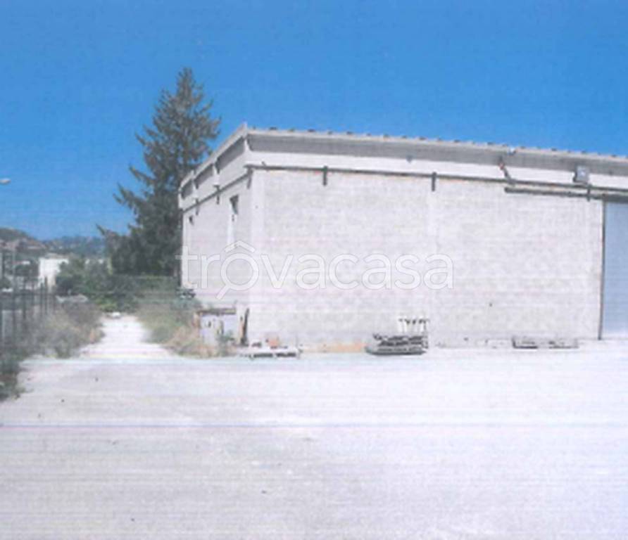 immagine annuncio 8 di 9