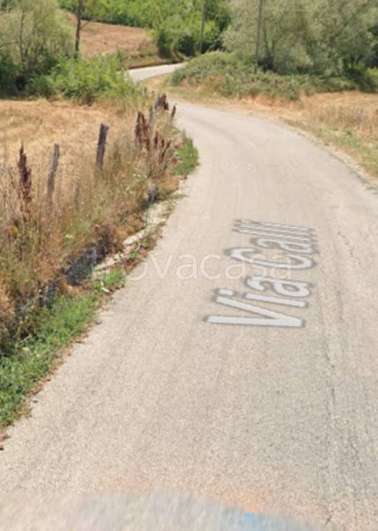 immagine annuncio 6 di 11