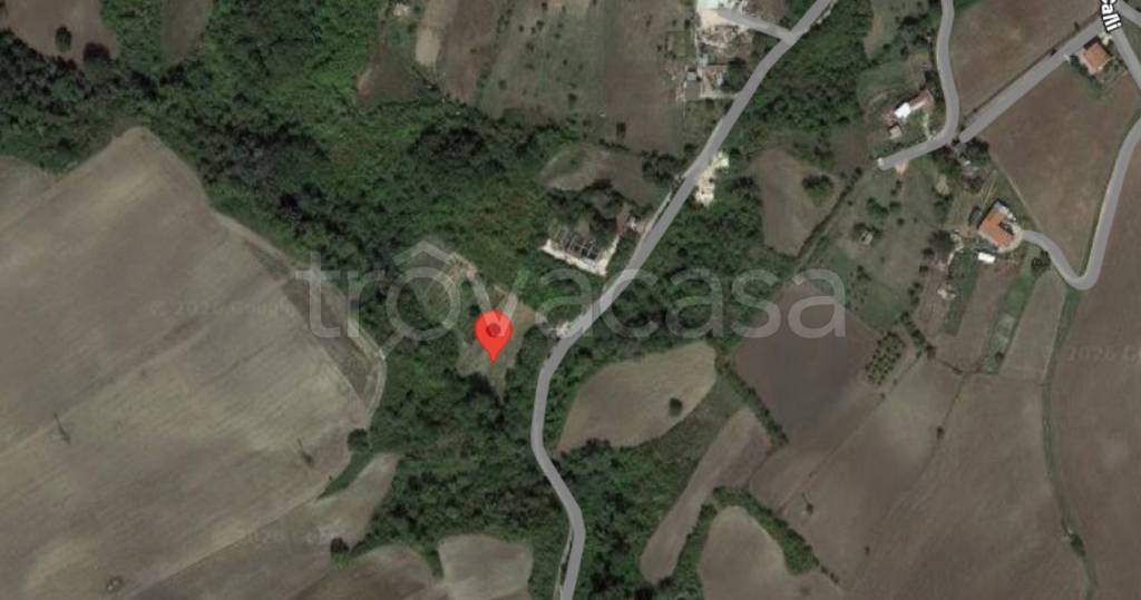 immagine annuncio 7 di 11