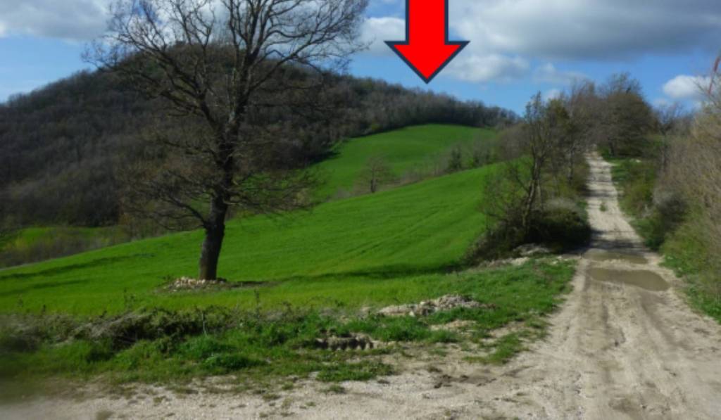 immagine annuncio 5 di 11