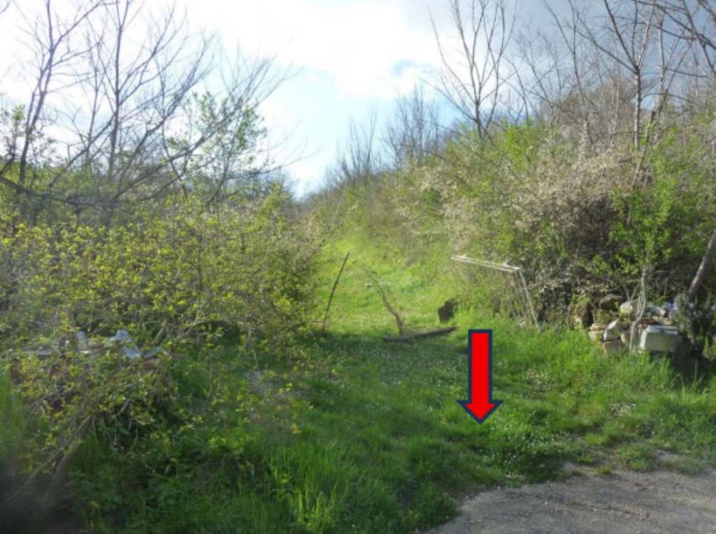 immagine annuncio 3 di 11