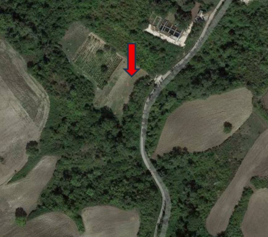 immagine annuncio 2 di 11