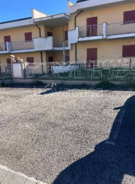 immagine annuncio 2 di 11