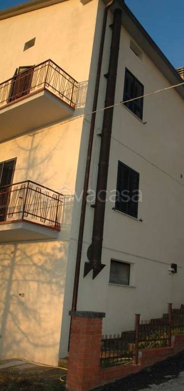 immagine annuncio 8 di 12