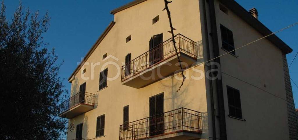 immagine annuncio 9 di 12