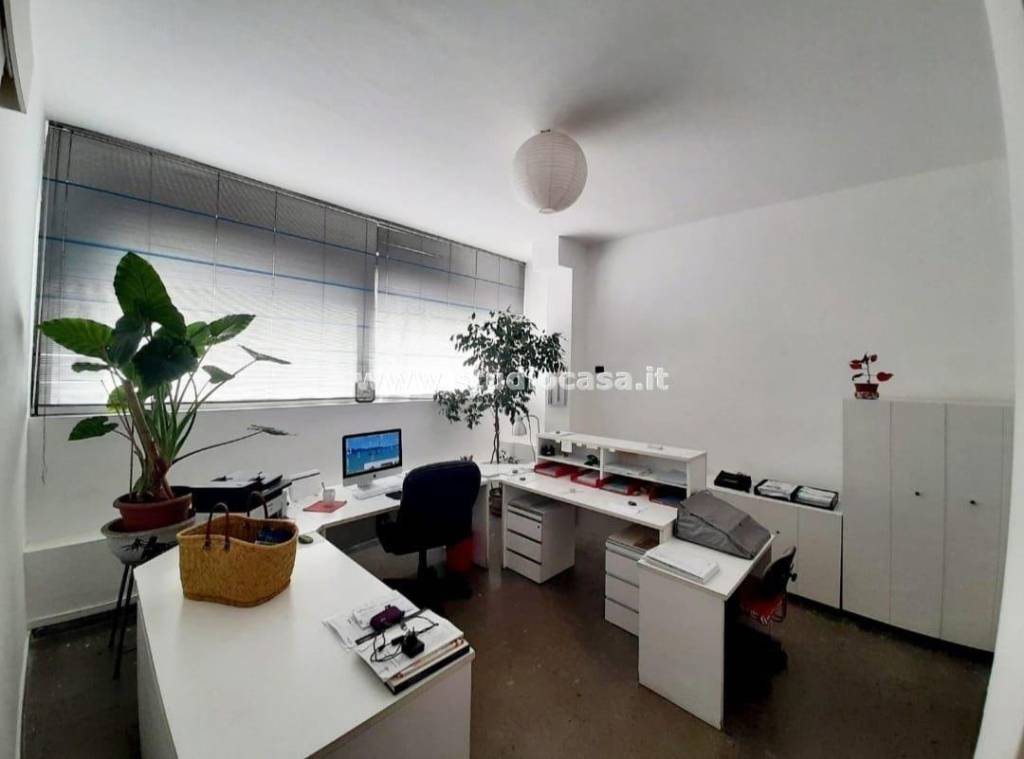 immagine annuncio 10 di 14