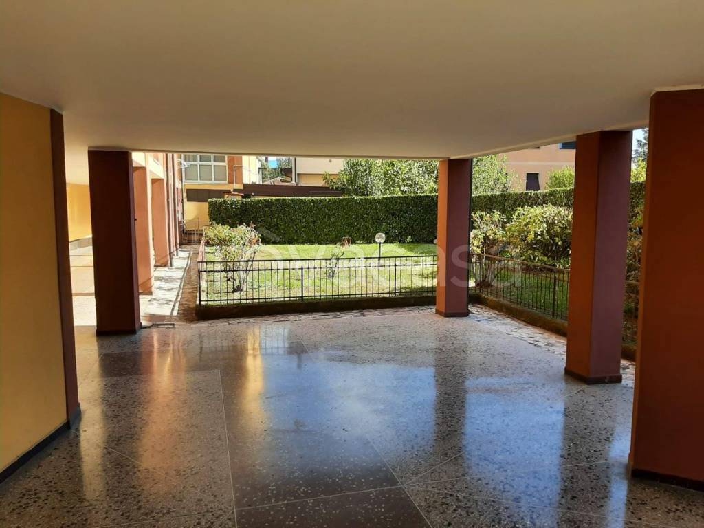 immagine annuncio 12 di 14