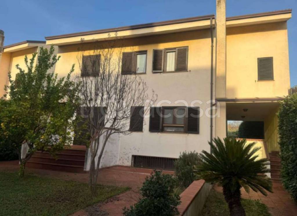 immagine annuncio 1 di 11