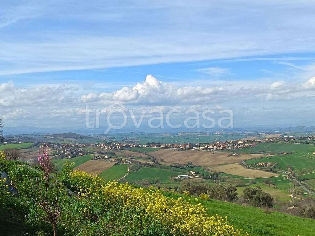 immagine annuncio 5 di 14