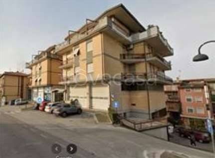 immagine annuncio 1 di 14