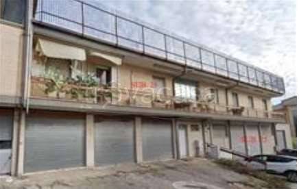 immagine annuncio 2 di 14