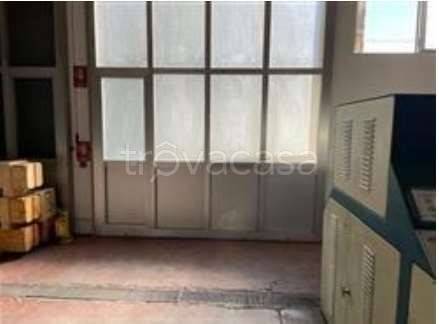 immagine annuncio 3 di 14