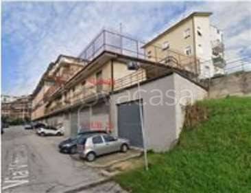 immagine annuncio 5 di 14