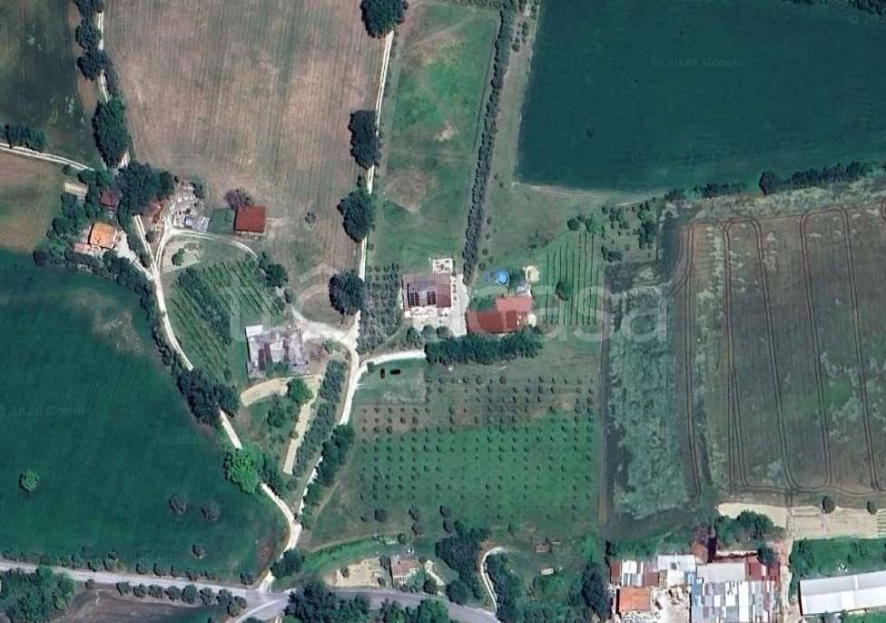 immagine annuncio 1 di 11