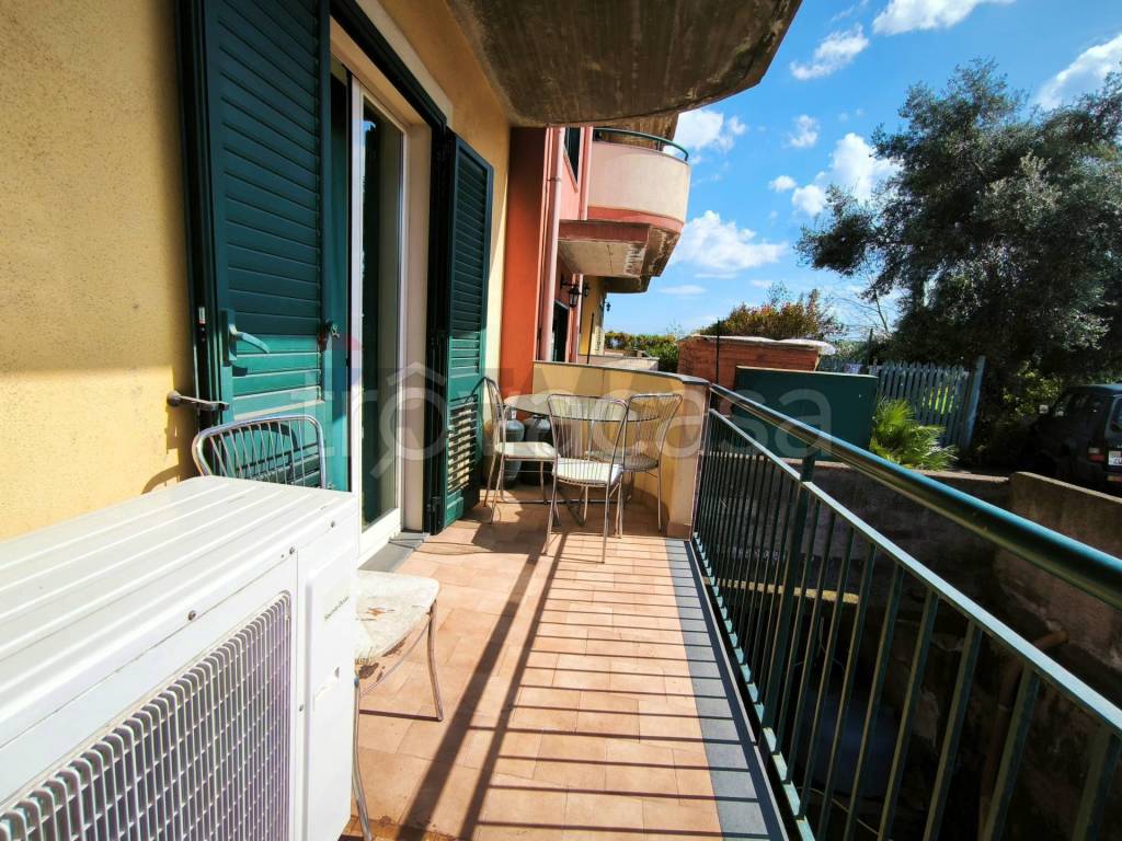 immagine annuncio 6 di 13