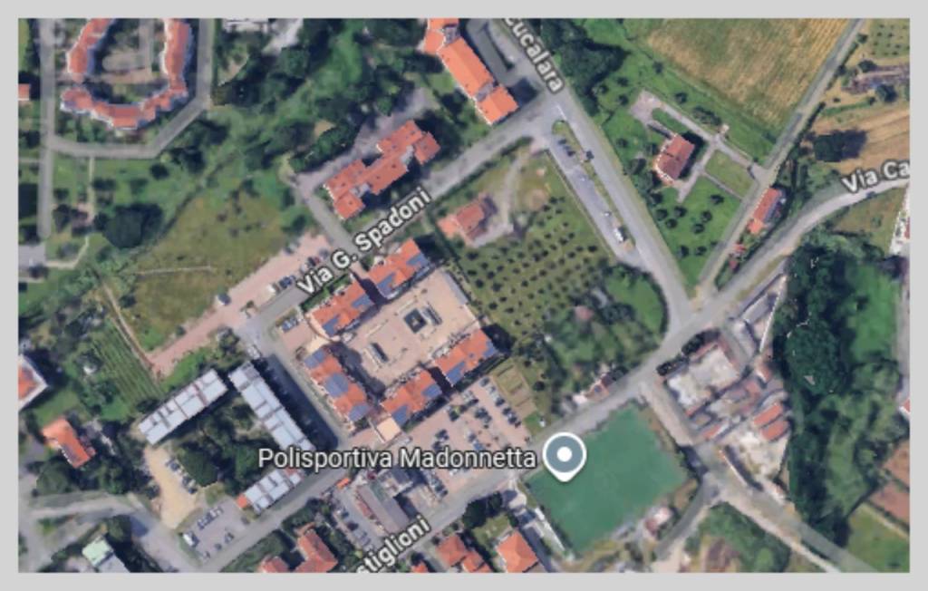 immagine annuncio 12 di 15