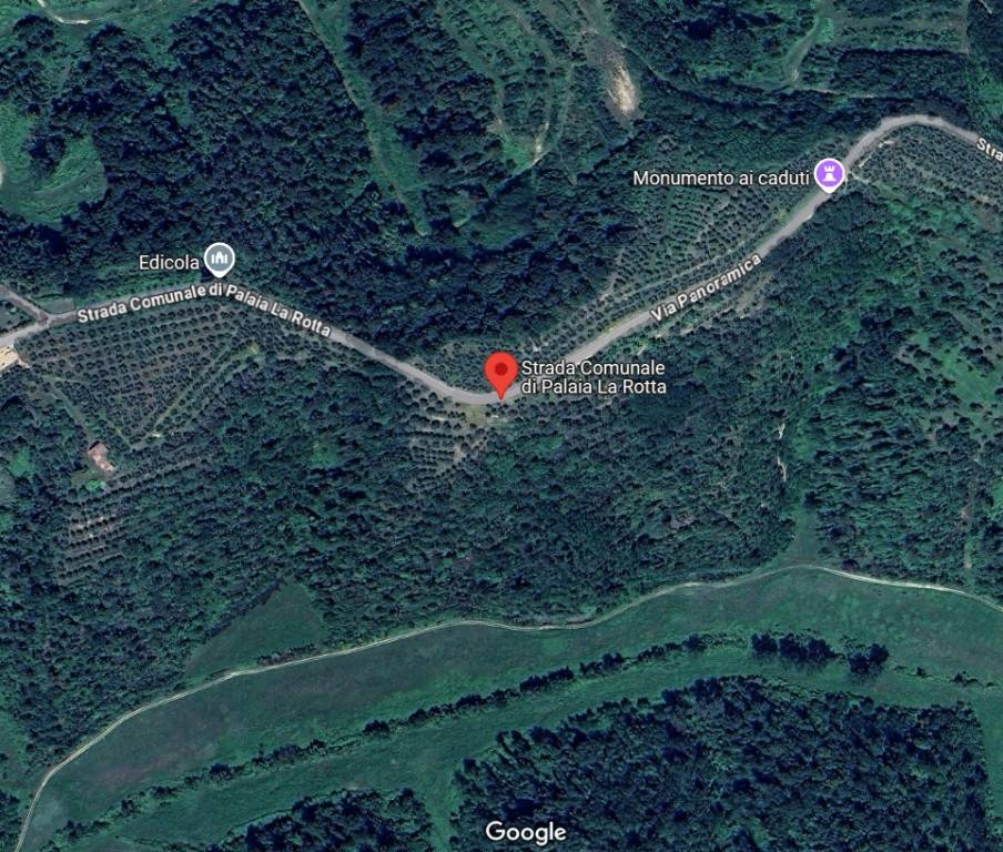 immagine annuncio 3 di 15