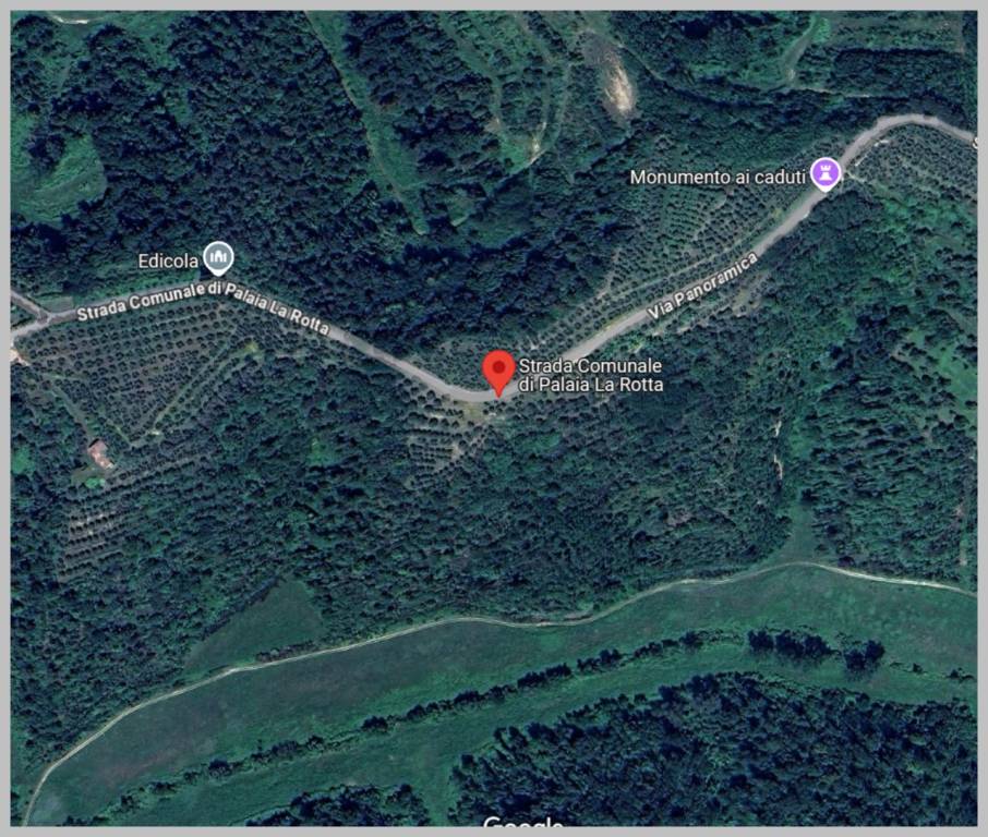 immagine annuncio 6 di 15