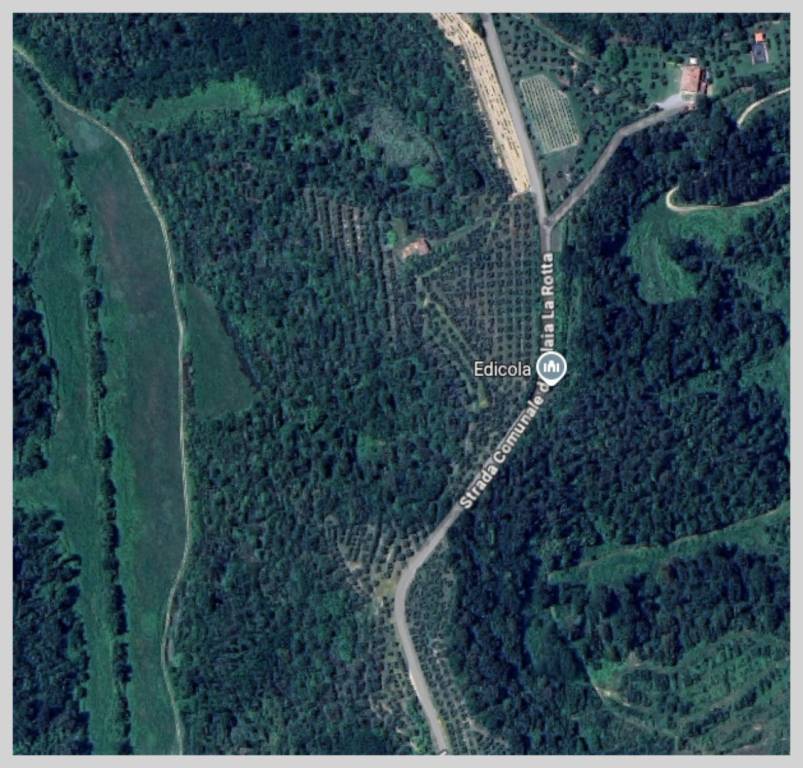 immagine annuncio 12 di 15