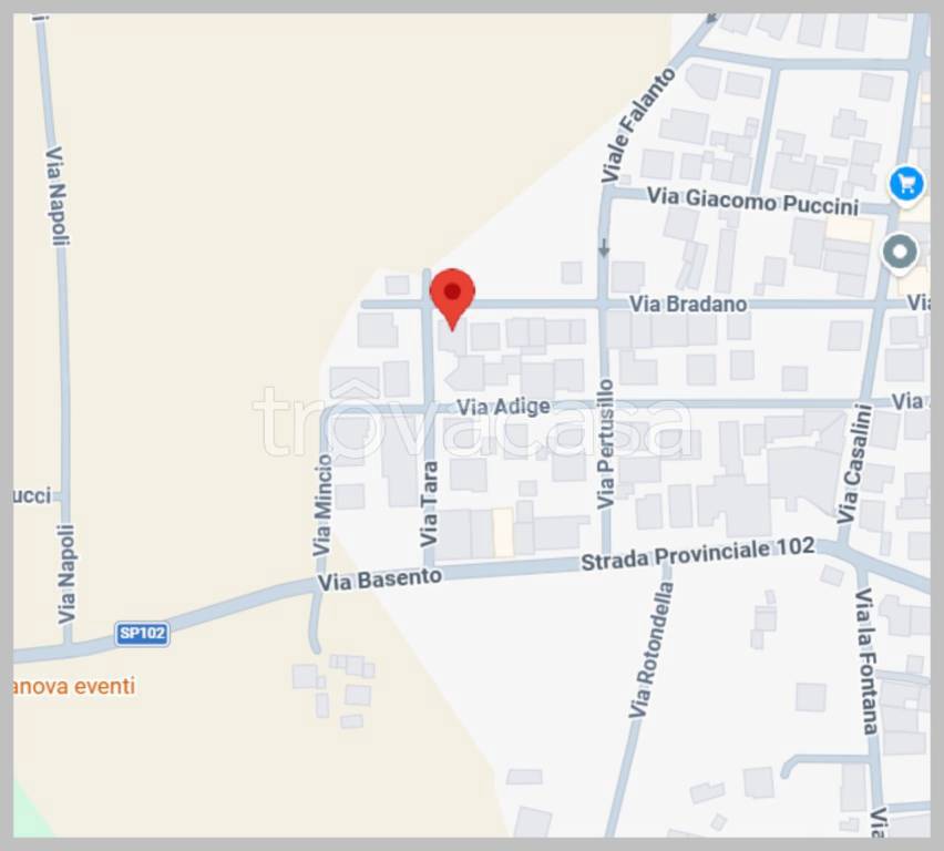 immagine annuncio 10 di 15