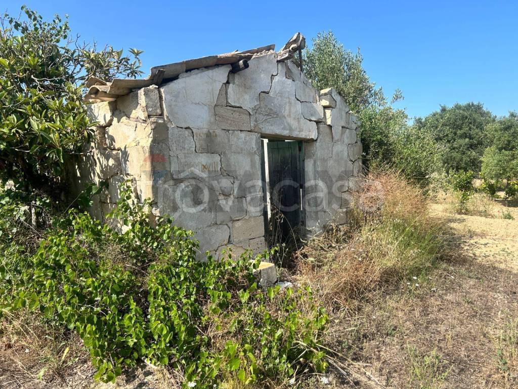 immagine annuncio 2 di 12