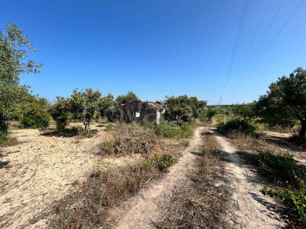 immagine annuncio 4 di 12