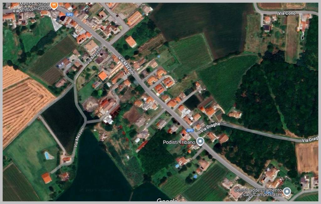 immagine annuncio 12 di 15