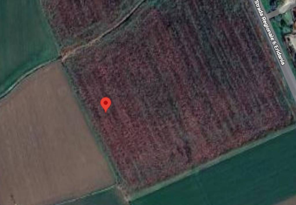 immagine annuncio 2 di 11