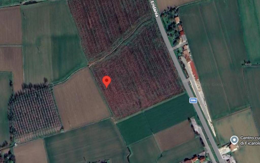 immagine annuncio 10 di 11