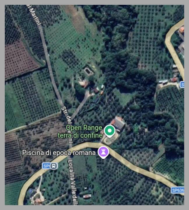 immagine annuncio 9 di 15